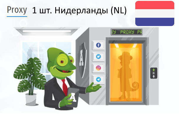 Приватный IPv4 прокси-сервер Netherlands (nl) Купить Анонимный IPv4 прокси-сервер Нидерланды (NL)