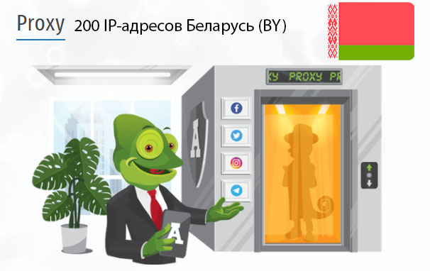 200 прокси оптом Belarus (by) Стоимость 200 пакетных прокси Беларусь (BY)